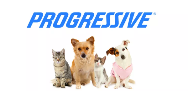 progressive pets